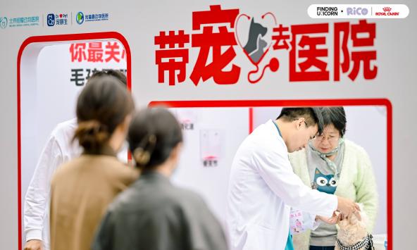 ʼҳʳƷ“ȥҽԺ”ͬУרҵ֮ػ...